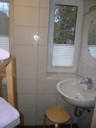 Ένα μπάνιο στο Ferienhaus zum Kirnitzschtal