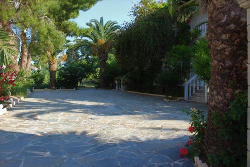 Κήπος έξω από το Pavlos studios