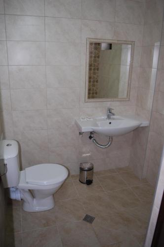 a bathroom with a toilet and a sink at Хотел Хилез Hotel Hilez in Tryavna