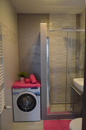 a washing machine in a bathroom with a sink at Gina Apartman in Debrecen