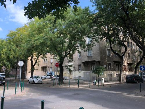 una calle con árboles y coches estacionados frente a un edificio en Kincsem Budapest Apartman, en Budapest