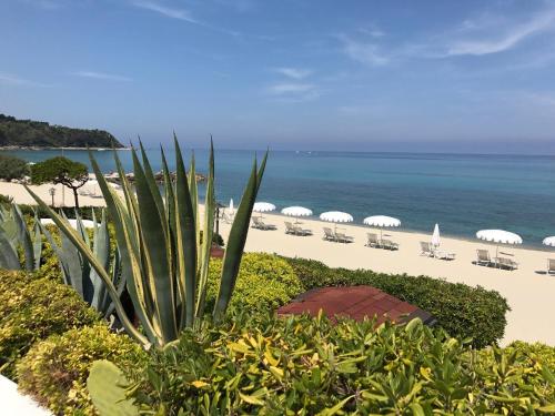 a view of a beach with chairs and umbrellas at Esclusiva villa sul mare Tropea in Parghelia