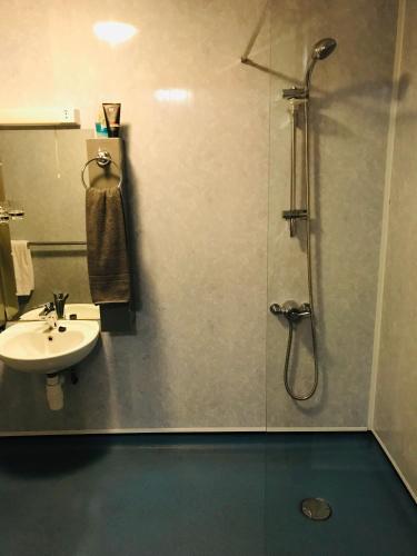 a bathroom with a shower and a sink at Pisgah Guesthouse Snowdonia in Blaenau-Ffestiniog