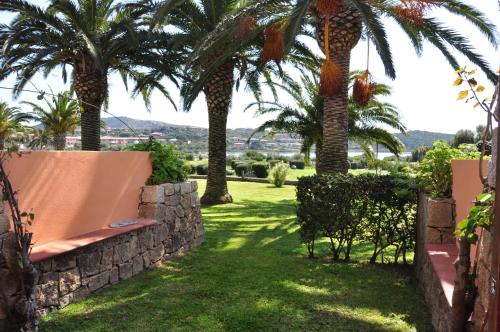 a garden with palm trees and a stone wall at Residenze Coda Cavallo in San Teodoro