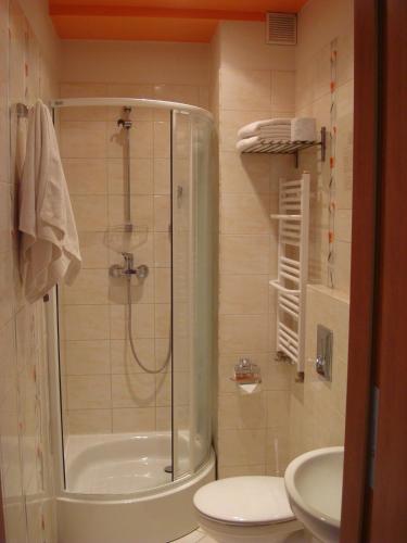 a bathroom with a shower and a toilet and a sink at Villa Lena in Gdańsk