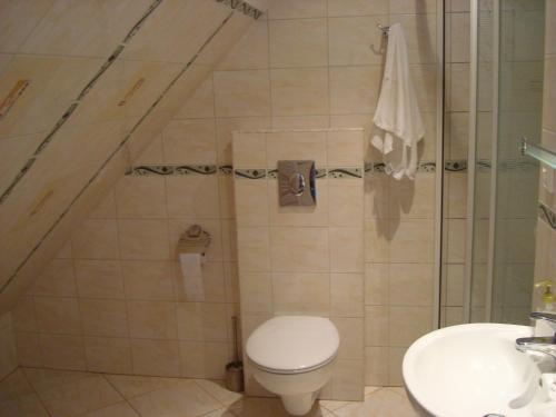 a bathroom with a toilet and a sink at Villa Lena in Gdańsk