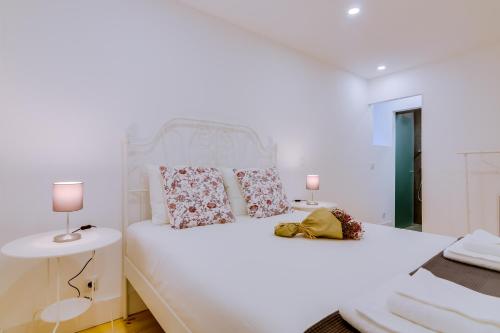 Casa dos Doutores, a cozy apartment in Lisbon
