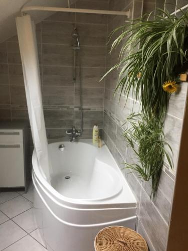 a white bath tub in a bathroom with a plant at Le Chanois in Fontaine