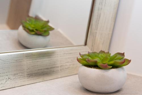 a plant in a white vase in front of a mirror at Your Home - City Apartment in Kufstein in Kufstein