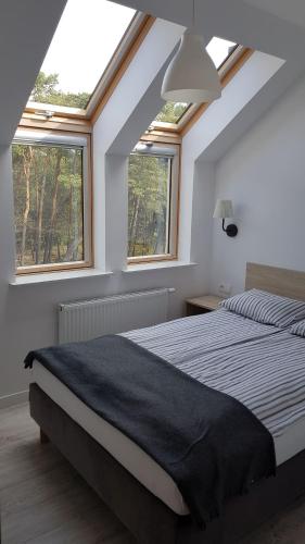 a bedroom with a large bed with two windows at Willa Nadbałtycka in Karwia