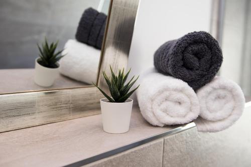 a bathroom with towels on a shelf in front of a mirror at Your Home - City Apartment in Kufstein in Kufstein