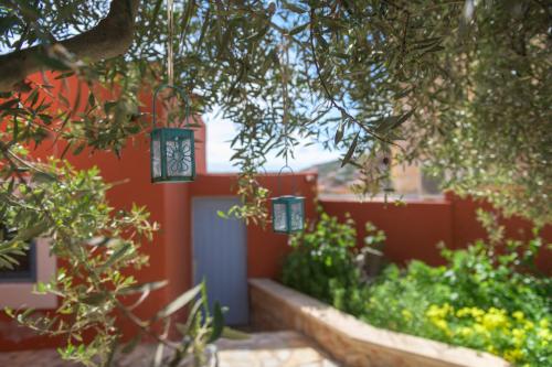 Κήπος έξω από το Villa Katingo