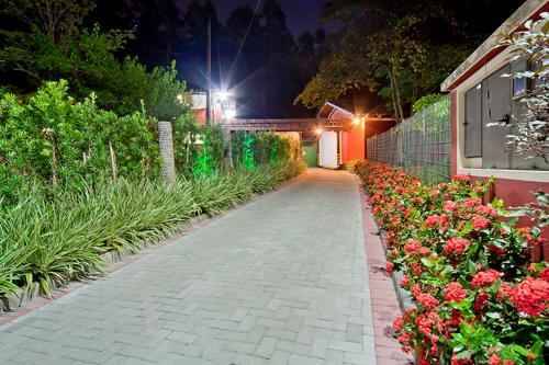 a walkway in a garden at night with flowers at MOTEL 3 PEIXINHOS (Adults Only) in Blumenau