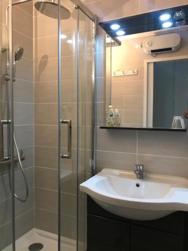 une salle de bain avec un lavabo et une douche en verre dans l'établissement Pied télécabine avec parking couvert, T2 bis 5 personnes., à Cauterets