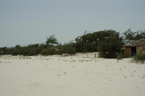 Galeriebild der Unterkunft Diamarek Hotel Sur La Plage in St. Louis