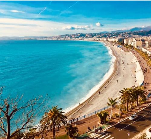 a view of a beach with palm trees and the ocean at Appartement coeur du vieux Nice in Nice