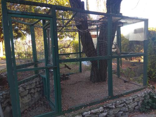 a bird cage with a tree behind it at Casa Dos Arrabidos in Torres Novas