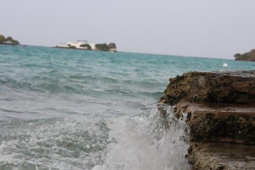 a body of water with the ocean in the background at Eco Hotel Las Palmeras in Isla Grande