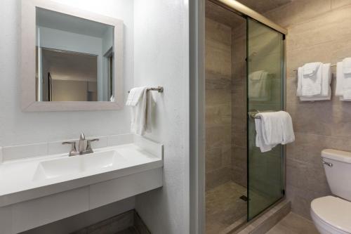 艾昂山的住宿－Pine Mountain Resort，一间带水槽和淋浴的浴室