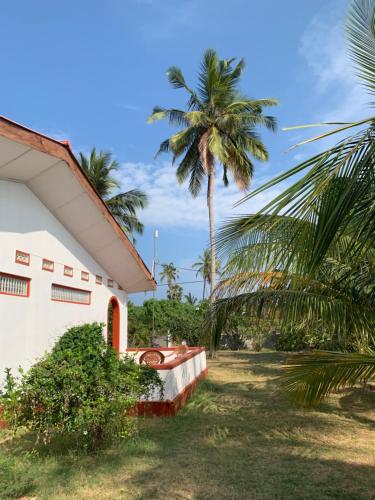 a house with a palm tree in front of it at Sampalthivu Beach Villa in Trincomalee