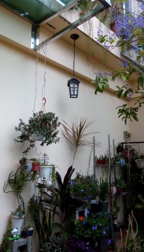 Taman di luar Pulisen Homestay