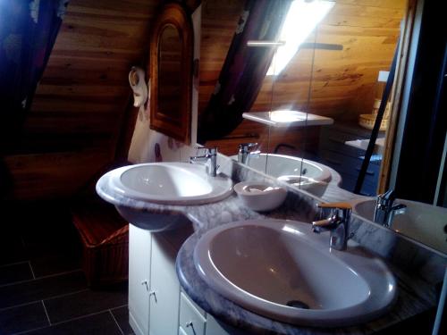 een badkamer met 2 wastafels en een spiegel bij Marie-Claire la grillade in Briare