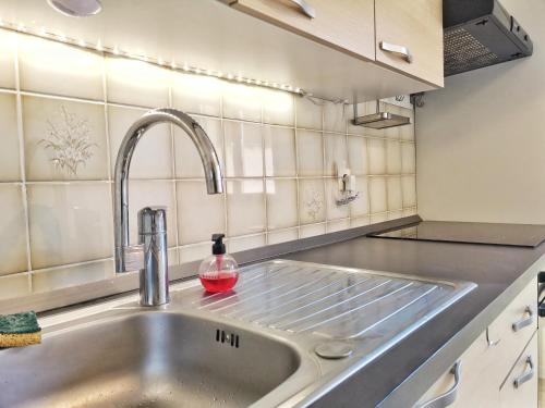 - un évier de cuisine avec une bouteille de savon dans l'établissement Chez Charlie - Centre ville Colmar - 2 pièces, à Colmar