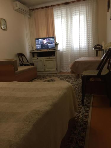 ノヴォロシースクにあるApartments on Anapskoye shosse 50のベッド2台とテレビが備わるホテルルームです。