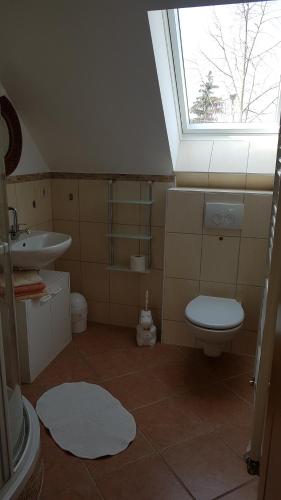 een badkamer met een toilet, een wastafel en een raam bij Urlaubsscheune in Niedergörsdorf