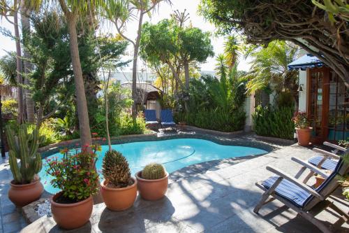 a swimming pool with chairs and trees and plants at Brenwin Guest House in Cape Town
