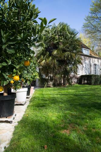 a yard with an orange tree and a house at Chambres et Tables d'hôtes du Puits d'Athie in Appoigny