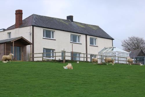 Cob Cottage – Photos 5