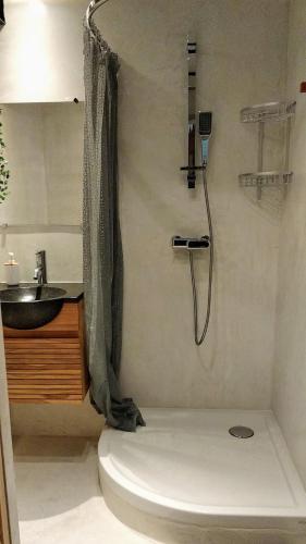 une salle de bain avec une douche avec des toilettes et un lavabo dans l'établissement Le nid des Arènes, à Arles