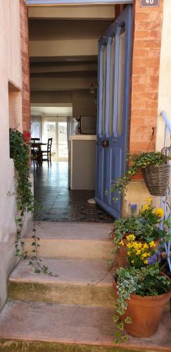 a blue door on a building with some plants at 40 Rue du Ventoux in Bédoin