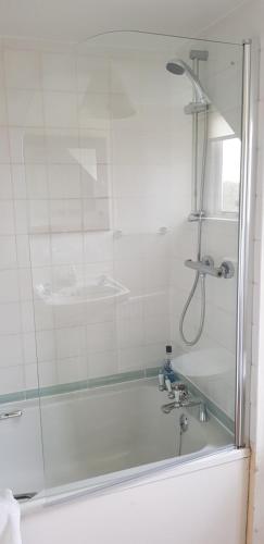 a bathroom with a shower and a tub with a sink at Newton Park Farm in Turvey