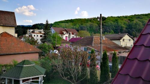 Gallery image of Coroni Residence in Braşov
