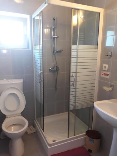 ルムニク・ヴルチャにあるPensiunea Anaのバスルーム(シャワー、トイレ、洗面台付)
