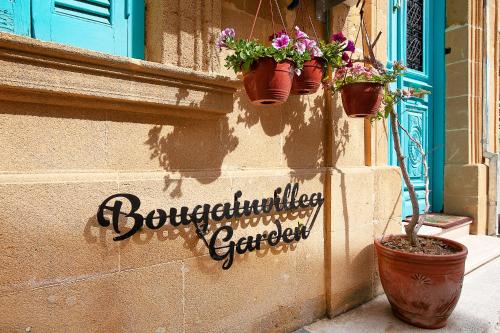 Bougainvillea Garden