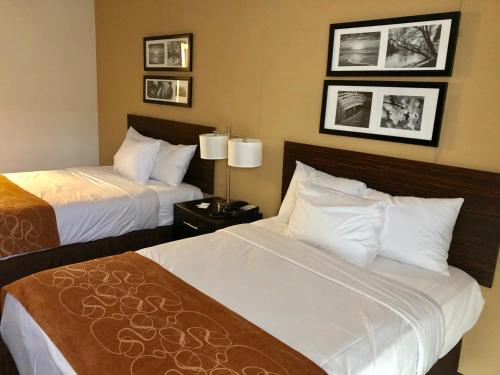 ブルックリンにあるThe Vue Inn Brooklynのホテルルーム内のベッド2台 壁に絵画が飾られています。