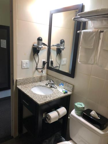 La salle de bains est pourvue d'un lavabo, d'un miroir et de toilettes. dans l'établissement The Vue Inn Brooklyn, à Brooklyn