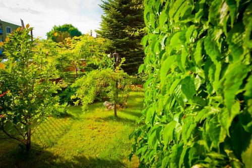 vistas a un jardín con árboles y césped en Villa Akacja, en Łeba