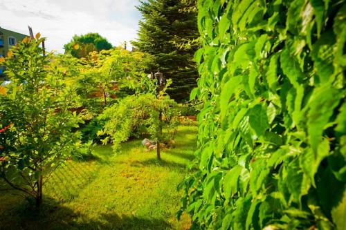 ウェバにあるVilla Akacjaの木々や芝生のある庭園の景色