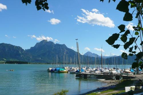 a group of boats docked at a dock on a lake at Ferienwohnung Alpenstern in Rieden am Forggensee