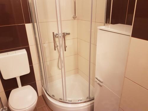 a bathroom with a shower and a toilet at Apartments Zova in Medulin
