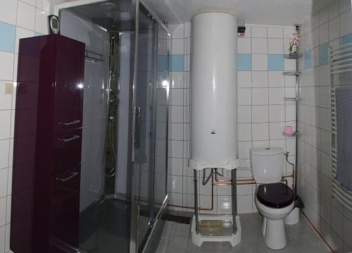 een badkamer met een douche en een toilet bij Gîte rural Les Maires d'Avaux in Saint-Bresson
