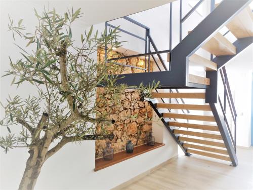 un escalier dans une maison avec un arbre dans l'établissement Pure Fonte Velha B&B, à Vila do Bispo