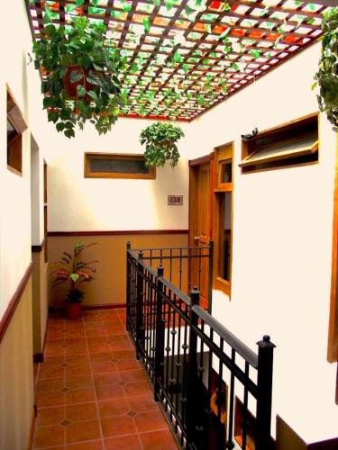 a hallway with potted plants on a building at Boutique Hotel Calle 20 in San José