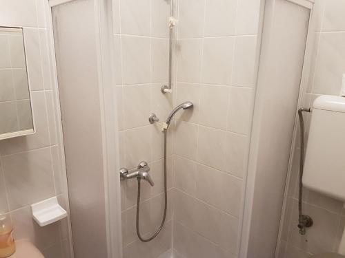 a bathroom with a shower and a toilet at Apartments Zova in Medulin