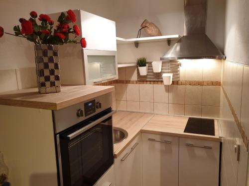 a kitchen with a sink and a stove top oven at Apartments Bubalo in Hvar
