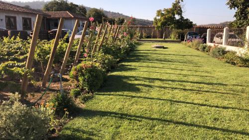 a garden with green grass and a fence at Hotel Boutique BC Wine Casablanca in Casablanca